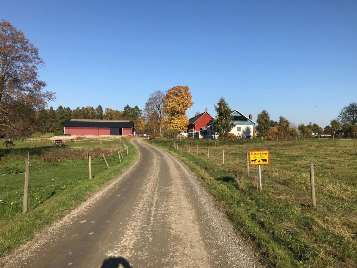 Stegemans Horse Hotel And Country Lodge Ljungby  Eksteriør billede